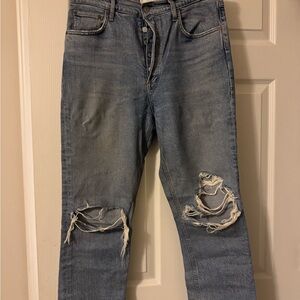 AGOLDE RILEY Distressed Straight Ankle Length Jeans
